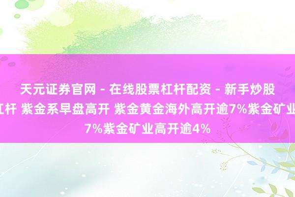 天元证券官网 - 在线股票杠杆配资 - 新手炒股如何配资杠杆 紫金系早盘高开 紫金黄金海外高开逾7%紫金矿业高开逾4%